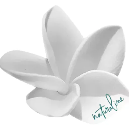 Logo de Naturaline34, cabinet de naturopathie à Montpellier.